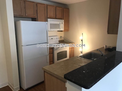 Dorchester Apartment for rent 2 Bedrooms 2 Baths Boston - $5,583 No Fee