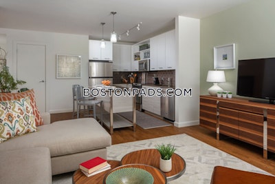 Downtown Apartment for rent 1 Bedroom 1 Bath Boston - $3,800