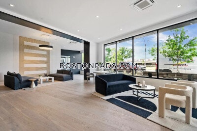 Brighton Apartment for rent 1 Bedroom 1 Bath Boston - $3,175 No Fee