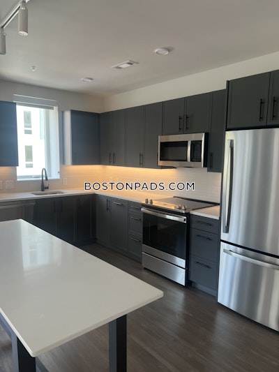 Cambridge Apartment for rent 3 Bedrooms 1 Bath  Mt. Auburn/brattle/ Fresh Pond - $6,061