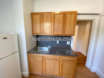 Brighton 1 Bed 1 Bath Boston - $2,275 No Fee