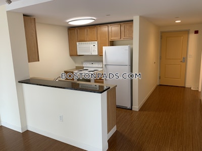 Dorchester Apartment for rent 2 Bedrooms 2 Baths Boston - $3,361 No Fee