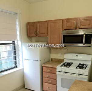 Allston Apartment for rent 1 Bedroom 1 Bath Boston - $2,700