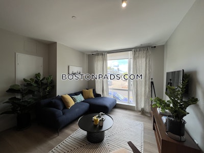 Brighton Apartment for rent 1 Bedroom 1 Bath Boston - $2,743