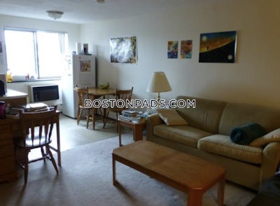 Cambridge Apartment for rent Studio 1 Bath  Davis Square - $1,950