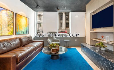 Downtown 1 bedroom 1 baths Luxury in BOSTON Boston - $3,294