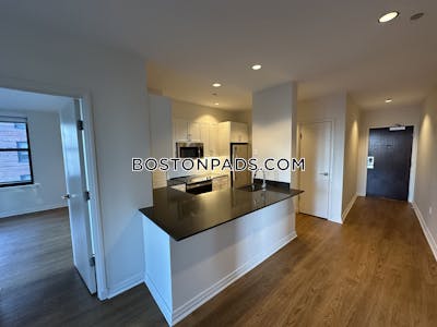 Downtown Apartment for rent 2 Bedrooms 2 Baths Boston - $4,464